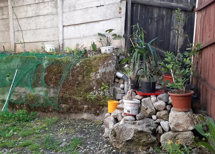 Casa Adrian Camere Centru Vechi