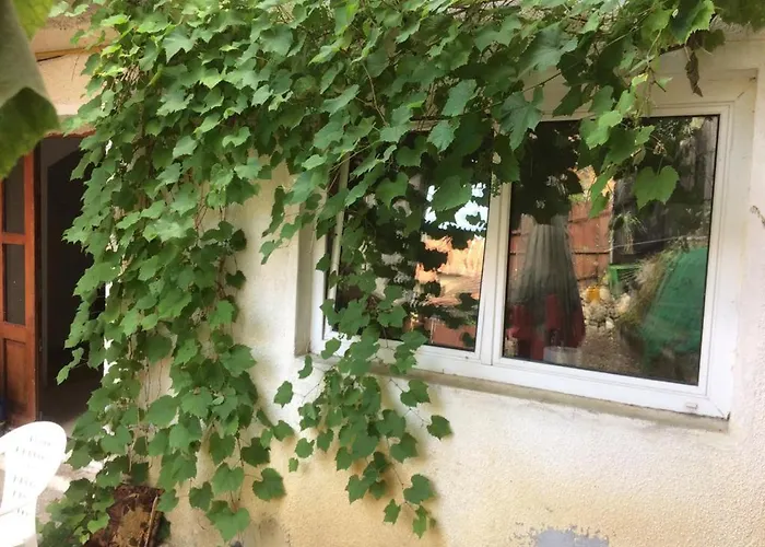 Casa Adrian Camere Centru Vechi